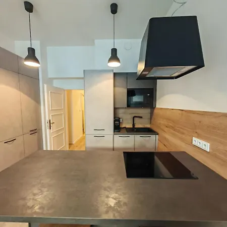 Apartment Quiet In Hip Zizkov *